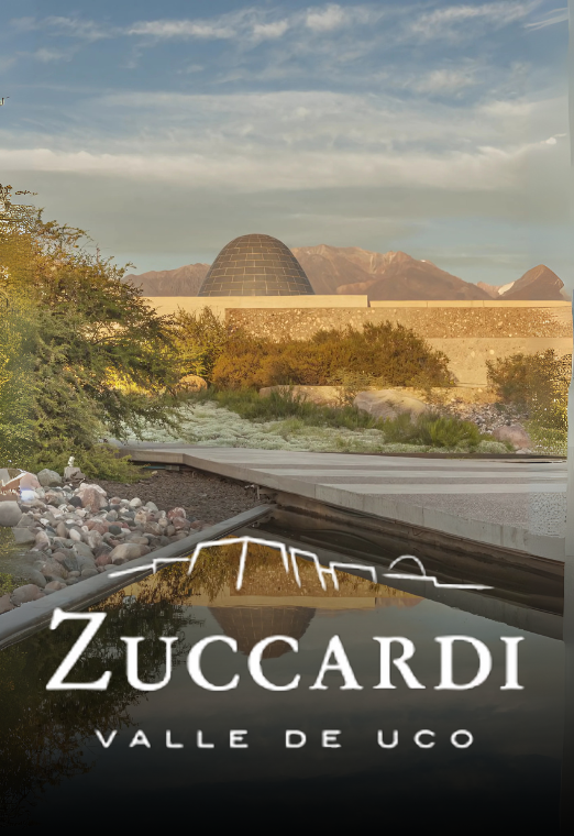 Bodega Zuccardi