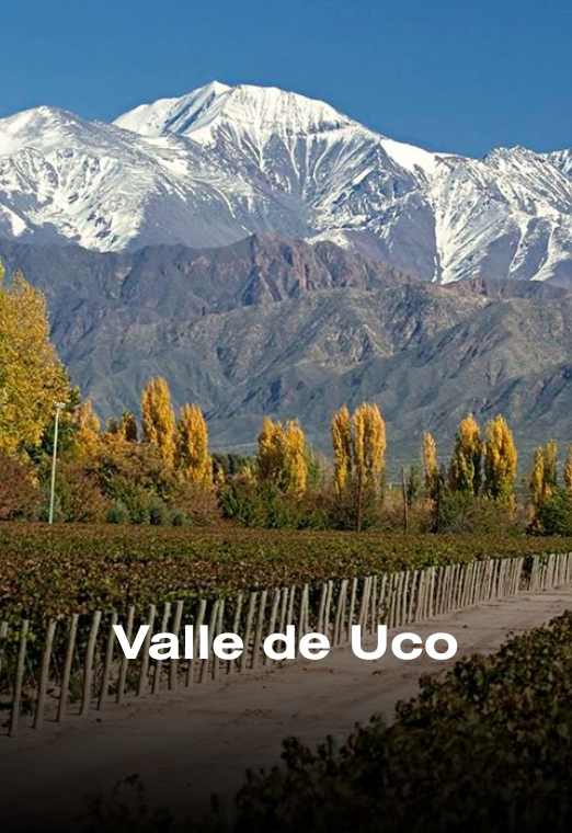 Valle de Uco